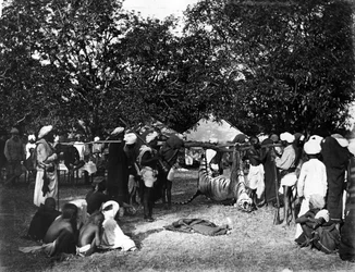 Polowanie na tygrysy w Indiach, ok. 1870 r.