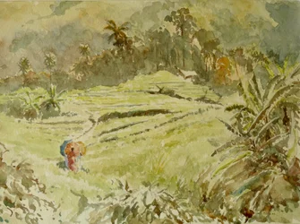 726 „Na skróty”, Ramboda