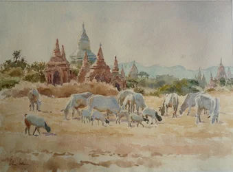 931 w kierunku Schwesandaw