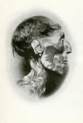 Głowa mumii Ramzesa II, starożytnego egipskiego faraona z XIX dynastii, ok. 1212 r. p.n.e. 1926.