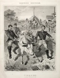 Szkice kampanii: Żerowanie, 1863.