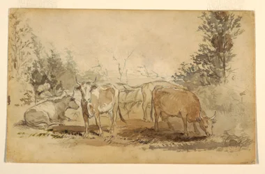 Rysunek Cztery krowy pasące się na pastwisku, ok. 1855-60