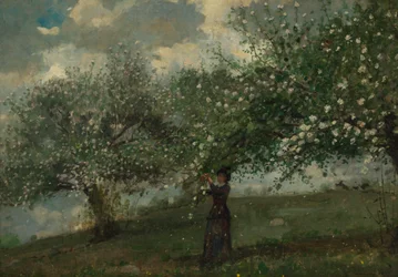 Dziewczyna zbierająca kwiaty jabłoni, 1879.