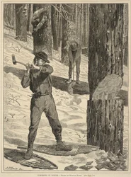 Lumbering in Winter, z Every Saturday: A Journal of Choice Reading, 28 stycznia 1871 r.