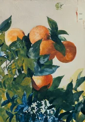 Pomarańcze na gałęzi, 1885
