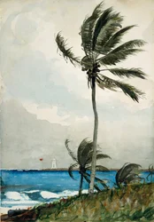 Palma, Nassau, 1898.