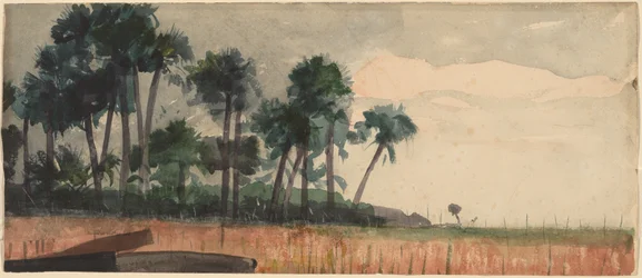 Palmy, czerwone, 1890.