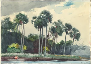 Czerwona koszula, Homosassa, Floryda