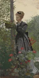 Lato, 1874