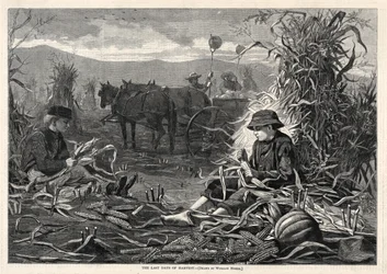 Ostatnie dni żniwa, 1873.