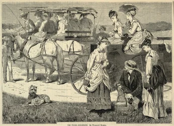 The Picnic Excursion, z Appletons
