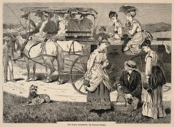 The Picnic Excursion, z Appletons