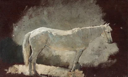 Biała Klacz, ok. 1868.