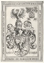 Herb Johanna Stabiusa.