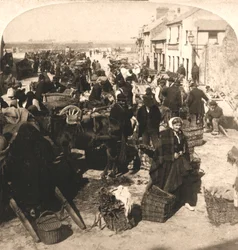 Sprzedawanie laski życia Irlandczyka, targ ziemniaczany, Galway, Irlandia, 1901.