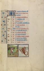 Człowiek siewu; Znak zodiaku Skorpiona