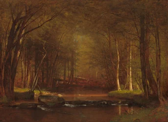 Potok pstrągowy w Catskills