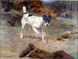 Jack Russell przy króliczej dziurze