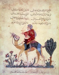 Podróżnik na wielbłądzie. Miniatura z „”Maqamat”” (Seanse) Abu Mohammeda al-Kasima ibn Ali Hariri (albo Al-Hariri lub Al Hariri) (1054-1122) zinscenizowana przez Yahyę Mahmuda al-Wasiti (al Wasiti) w 1237, Paryż, BN
