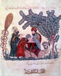 burżuazyjny al-Harith (Al Harith), syn Hammama, odkrywa wiadomość od wędrownego nawigatora Abu-Zayda (Abu Zayda) -Haririego lub Al Hariri) (1054-1122)