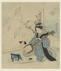 Gejsza dostraja swój Shamisen
