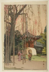 Wiśniowe drzewo w Kawagoe
