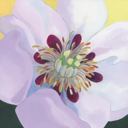 Żywe płatki magnolii