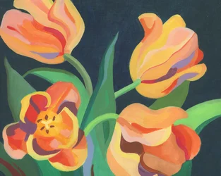 Żywe pomarańczowe tulipany