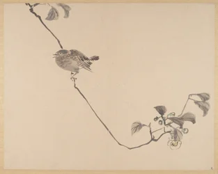 Malowanie