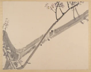 Malowanie
