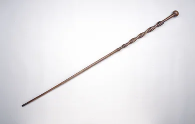 Laska Cetshwayo, króla Zulusów