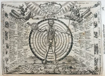 Wykres astrologiczny