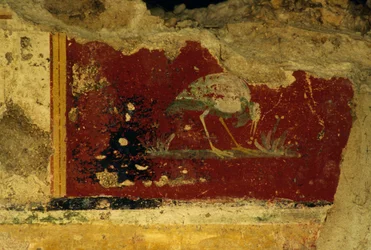 Ptak, fragment fresku, Świątynia Salus Augusta-Cryptoporticus, starożytne rzymskie miasto Urbs Salvia, Urbisaglia, Marche, Włochy (zdjęcie)