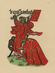 Hrabia Toulouse, Comte de Toulouse, ze standardem
