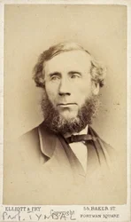 John Tyndall, fizyk irlandzki, ok. 1875