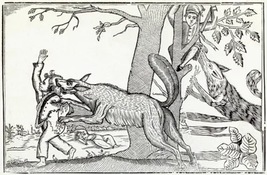 Wilk ok. 1820 r. (rycina)