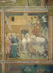 Noe prowadzący zwierzęta do arki, 1356-67 (zob. też 59303)