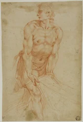 Mężczyzna szarpiący prześcieradło: Study for the Entombment [Zakrystia Certosa di San Martino, Neapol, 1596]