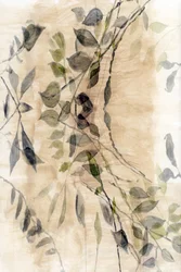 Eteryczny botaniczny strumień