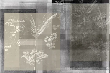 Warstwowa abstrakcja botaniczna