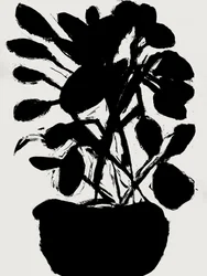 Minimalistyczna roślina doniczkowa