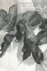 Monochromatyczny botaniczny motyw