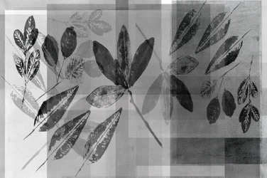 Monochromatyczne warstwy motywów roślinnych