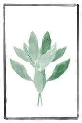 Delikatna zieleń w stylu botanicznym