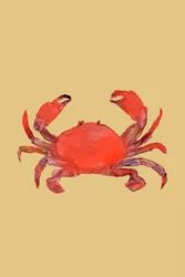 Żywa czerwona krab