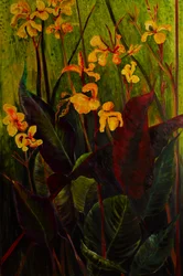 Canna Lily, 2017 (olej na płótnie)