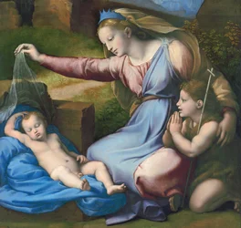 Madonna z niebieskiego diademu,